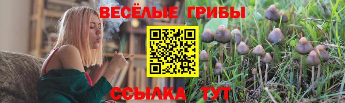 Ступино  Галлюциногенные грибы Psilocybe  Вход с VPN  Галлюциногенные грибы мухоморы 