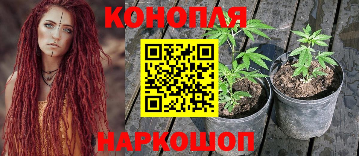 Ступино  Шишки марихуана ГИДРОПОН  МАРИХУАНА VHQ  Вход с VPN 